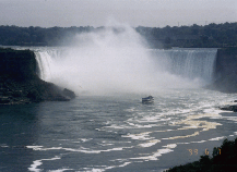 �i�C�A�K���̎ʐ^